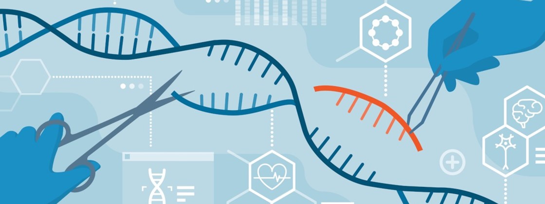 Gene editing can pose a threat to genomic integrity