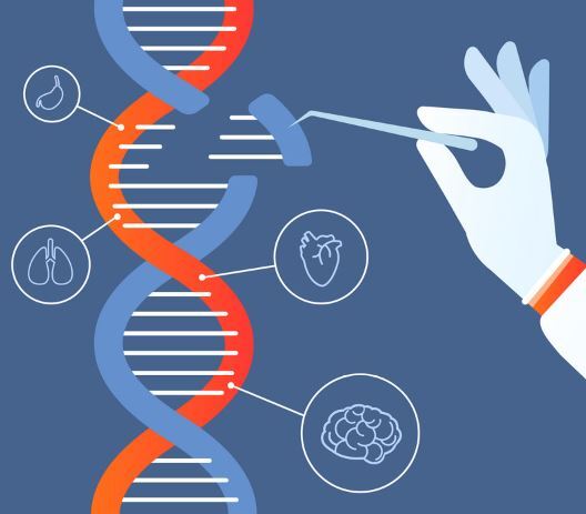 Gene editing: a risk of random transgene integration