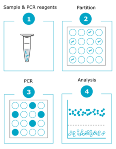 Digital Droplet PCR technology