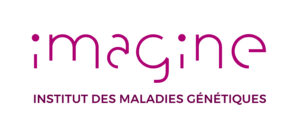 Logo Institut Imagine