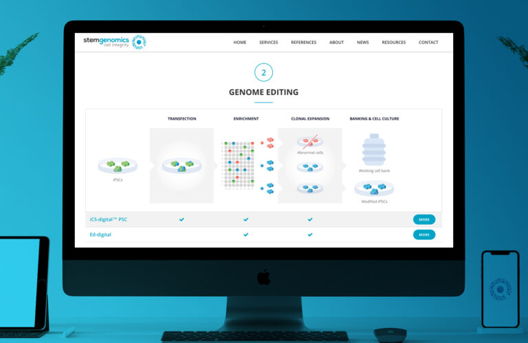 The iCS-digital TM test is a straightforward method for screening human pluripotent stem cell (hPSC) clones after CRISPR gene editing