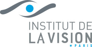 Logo Institut de la vision