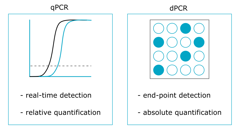 qPCR versus dPCR