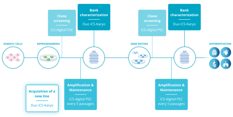 The workflow for PSC genetic integrity quality control recommended by Stem Genomics