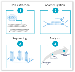 NGS: how it works