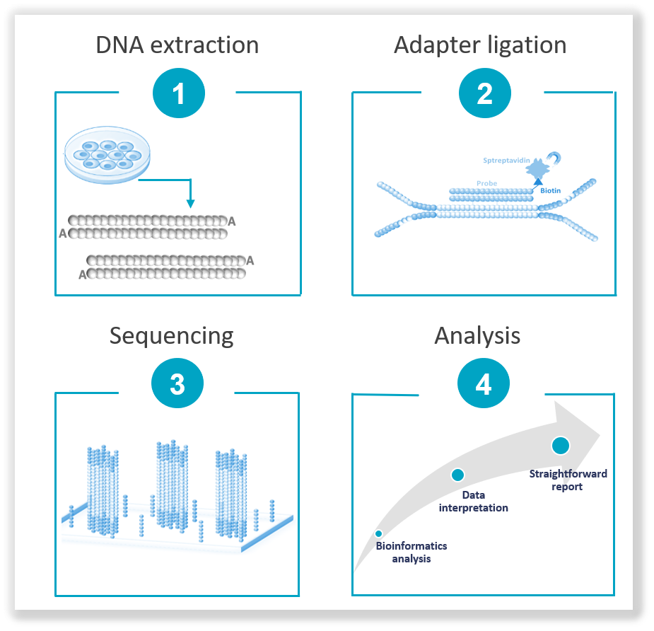 NGS: how it works