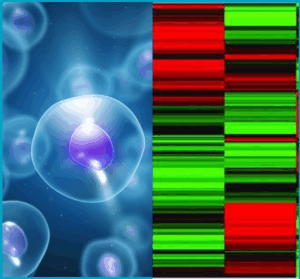 pluripotency test