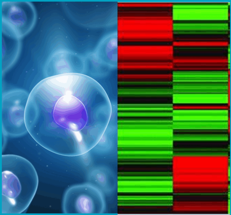 pluripotency test