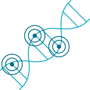 stem-seq-plus