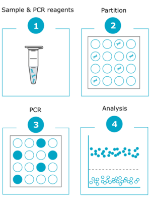Digital Droplet PCR technology